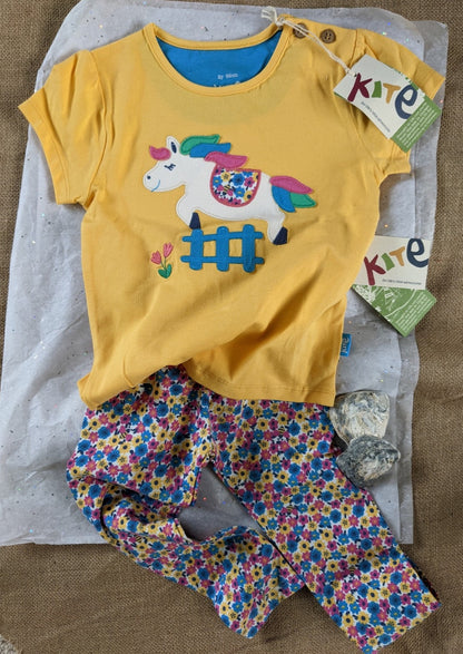 Unicorn top and bottom set